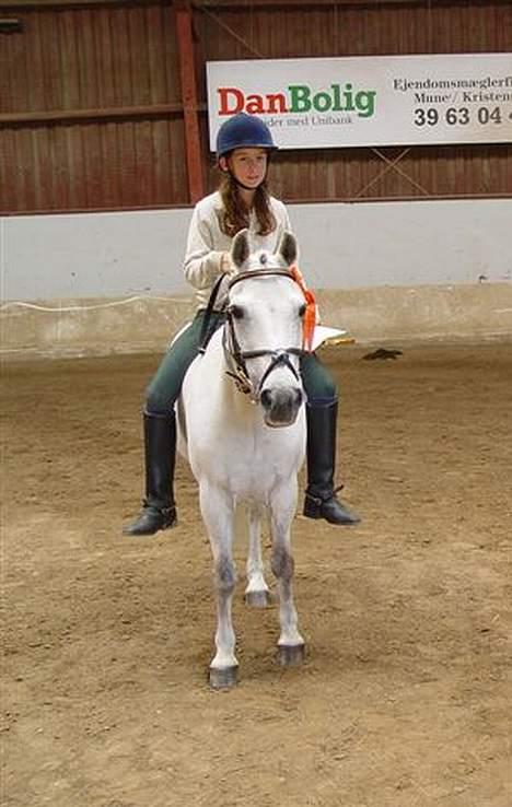 Connemara Jolly Jumper *SOLGT* - nr 1 i striglekonkurrencen med den eneste hvide pony :P billede 5