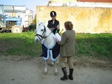 Connemara Jolly Jumper *SOLGT* - nr 4 ud af 15 i LC1 billede 6