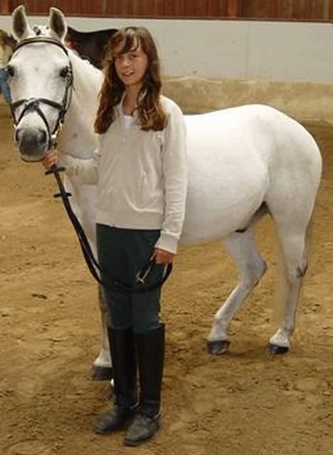 Connemara Jolly Jumper *SOLGT* - heh.. så er han vågen til konkurrence billede 7