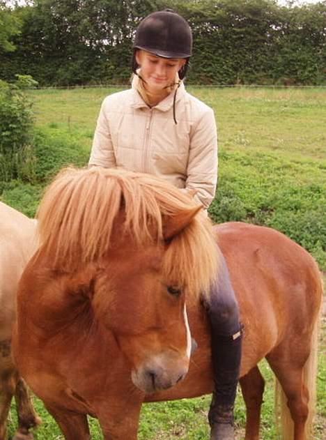 Islænder Ganti fra Valsgård - Ganti og mette ;0) perfekte sammen ?<3 billede 17