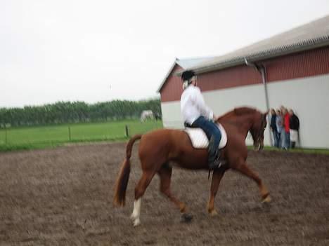 Frederiksborg Major Skyttegård - Fra samme show . Nik og Jay billede 11