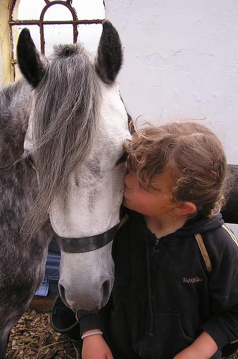 Welsh Mountain (sec A) | Brise (Solgt 07) - Billeder taler mere en 1000 ord:) det siger" JEG VIL ALTID ELSKE DIG BRISE!!"<333 billede 8