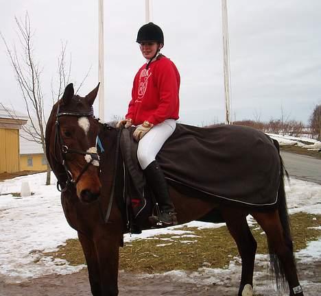 Hannoveraner Aktiv Igen (DØD) - Fra FHSR billede 14