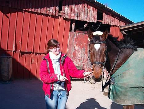 Hannoveraner Aktiv Igen (DØD) - Se mit lækre hår.. billede 15
