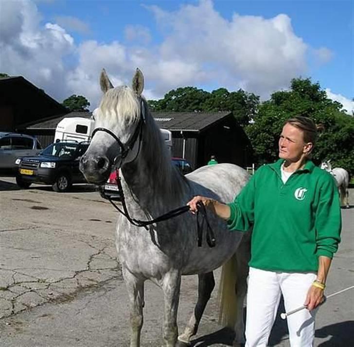 Connemara BAKKEDALS PRIMADONNA billede 19