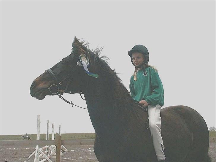 Connemara Krathus Calimash C 526 billede 10