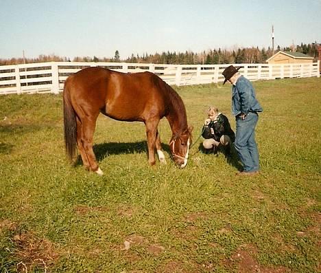 Quarter Red Wood Apollo (93-98) - Polle, min far og jeg i Canada 1996 billede 9