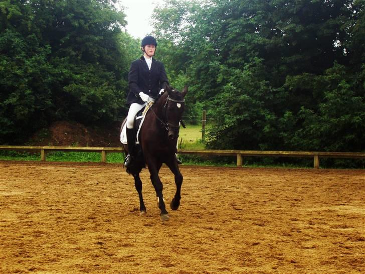 Anden særlig race Dark Shadow - Mig og min elskede pony <3 billede 8