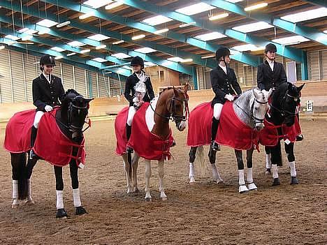 Anden særlig race Dark Shadow - Vores hold fra EOR. Vandt tika divisions cup 2006 billede 10