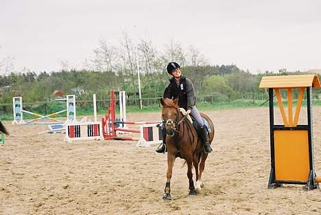 New Forest Fergie - At SMILE!!! Haaah, flot Michelle!! billede 8