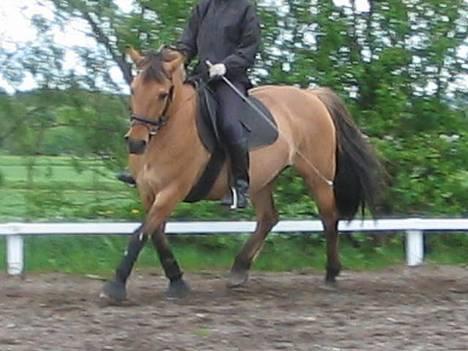 Anden særlig race Bella<,3 - Hovedløse mig . Hih xD billede 2