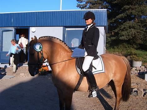 Anden særlig race Bella<,3 - Efter æresrunde i LD finale . Så stolt af den dejlige tøs . billede 3