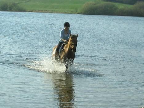 Anden særlig race Bella<,3 - På vej ind på "strandkanten" igen . billede 5
