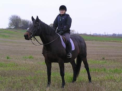 Anden særlig race Unik *DØD*  - Dejlig <´33 ( En tur ud på marken ) billede 7