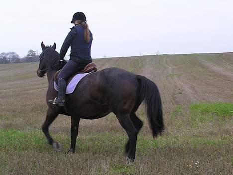 Anden særlig race Unik *DØD*  - Lige en tur bagfra ;) billede 9