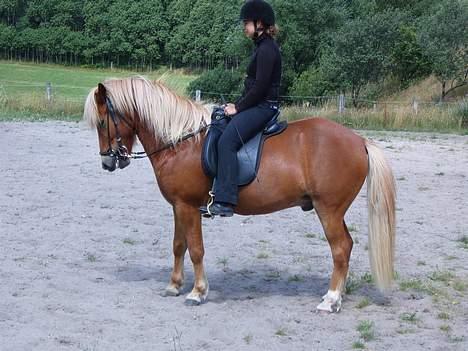 Islænder Vægir Fra Lønne billede 19