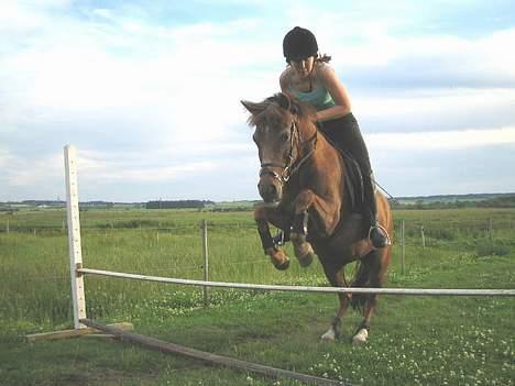 Anden særlig race »Freja <3 « † Sov sødt † - Se hvor vi kan (: Ca. 60 cm.. billede 9