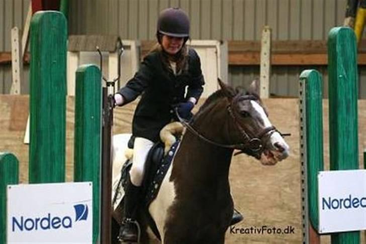 Pinto Don Ibrahim. - Savner det i; billede 11