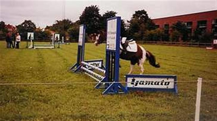 Pinto Don Ibrahim. - Det var altid en fornøjelse. billede 12