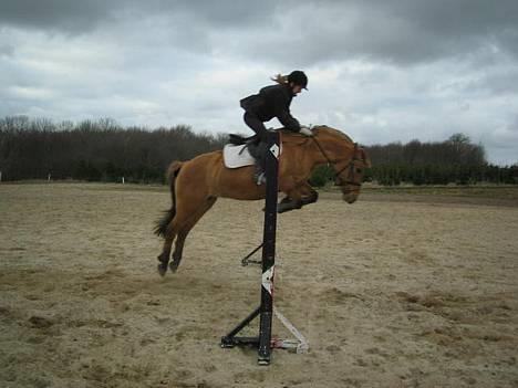 Anden særlig race Bella<,3 - 90 cm .. Også fra undervisning (: billede 7