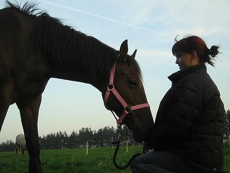 Anden særlig race Sebastian<'3 solgt:'( - hygge hesten billede 13