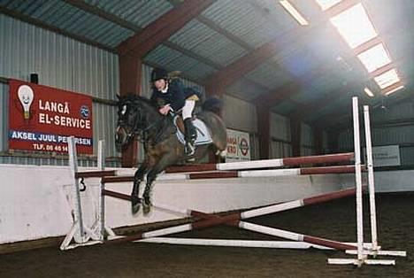 Anden særlig race Filur rakosi  solgt - sponser spring springet er desvære skide skævt så tror ikk helt det er målt rigtigt:P billede 4