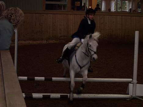 New Forest Kildemarken New Wed Fiona billede 10