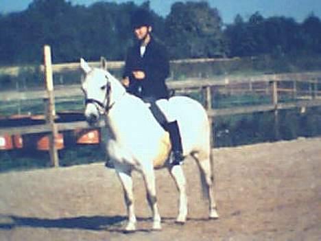 Connemara Jolly Jumper *SOLGT* - Jolly og mig i Dressur.. LC2 billede 9