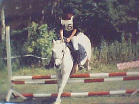 Connemara Jolly Jumper *SOLGT* - military på søborgård billede 12