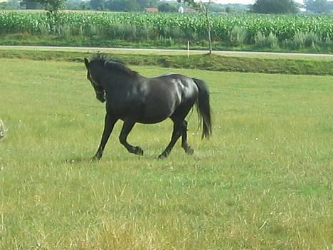 Oldenborg Donna <,3 - Først bøje lidt til højre og så venstre... billede 1