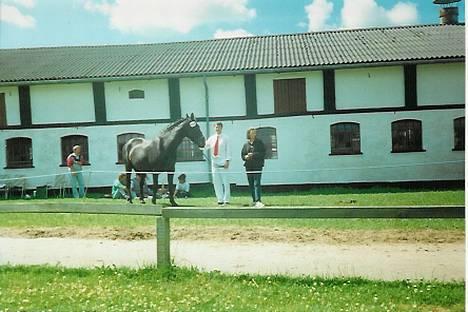 Oldenborg Donna <,3 - Donna til kåring i 19-OgGrønHvidkål ;D ;D  ,, Ved ikk hvornår det er .. billede 4