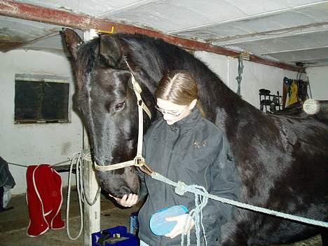 Oldenborg Donna <,3 billede 8