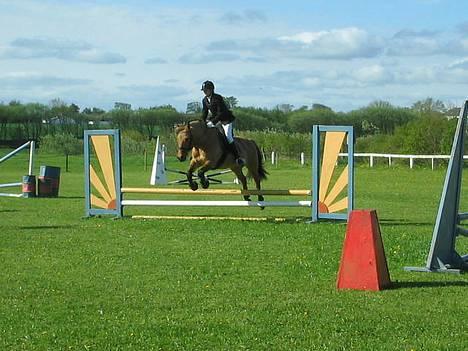 Anden særlig race Bella<,3 - 60 cm .. Clear Round .. I Ranum.. billede 9
