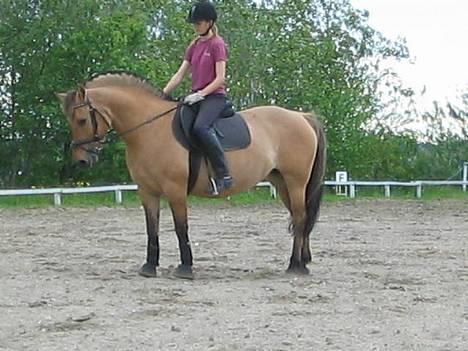 Anden særlig race Bella<,3 - Dejlig lille fin parade (: billede 10