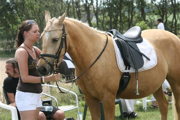 Palomino Klepholms Pegasos/Palle - Palle sammen med Malene. billede 13