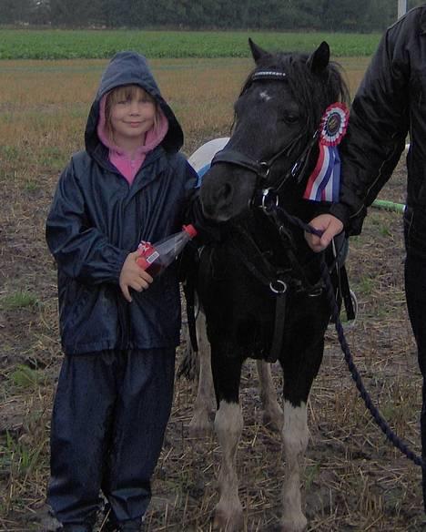 Shetlænder | Kærholms Indian  - Kirstine & Indian til stævne den 27-8-06 :) vi fik en 1 plads i ponygames ;)  billede 5