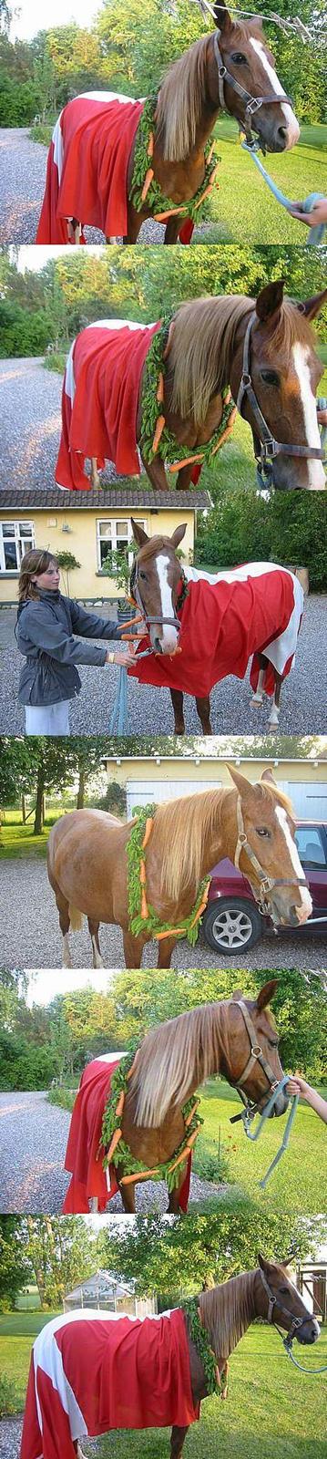 Anden særlig race | Fie † 2005 †  «3  billede 6