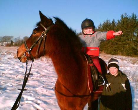 New Forest A Choko Chanel UDLÅNT - Chanel med sine venner Ida og Magnus! billede 7