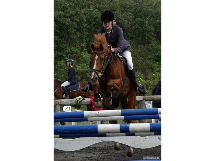 {{currentPhoto.altText}} billede {{currentPhoto.number}}