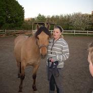 Anden særlig race Lukas SOLGT :(