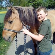 Anden særlig race Lukas SOLGT :(