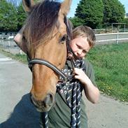 Anden særlig race Lukas SOLGT :(