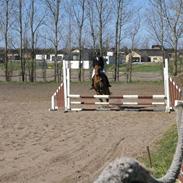 Anden særlig race karla