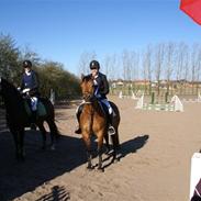 Anden særlig race karla