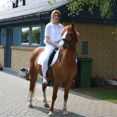 Anden særlig race Zafir <3 Ikke min mere :(