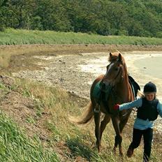 Islænder Baldur Petit