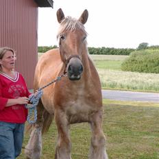 Jyde Østervig Storm P - R.I.P 19.08.2015