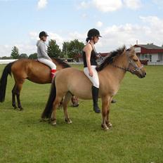 Anden særlig race * Golfe + - Ingolf <3