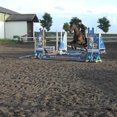 Anden særlig race Parcas SOLGT