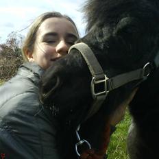 Miniature Sofie <3 *Passer*